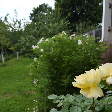 Apartman MirA Sarajevo Bagian luar foto