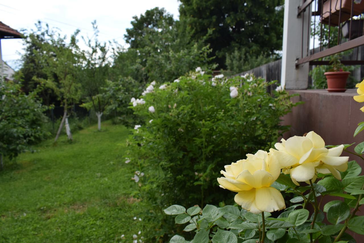 Apartman MirA Sarajevo Bagian luar foto